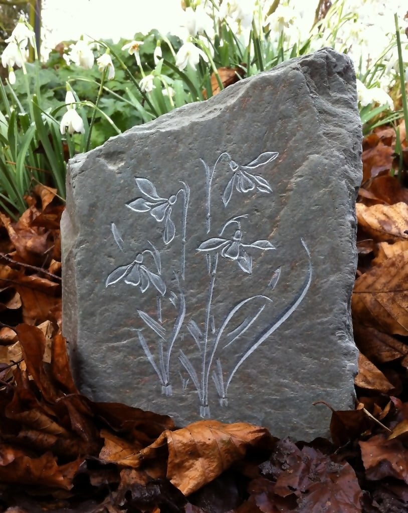 Snowdrops incised in natural stone