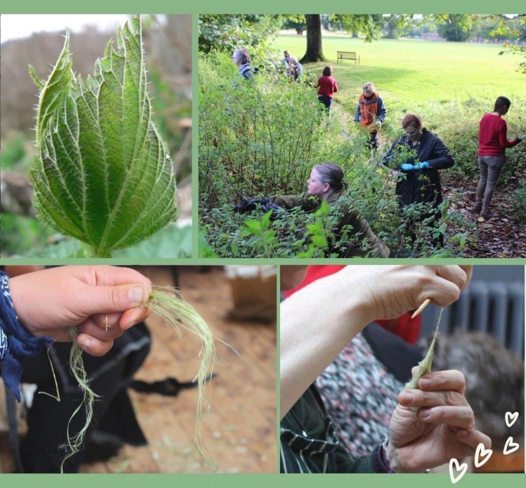 Nettle Fibre Workshops