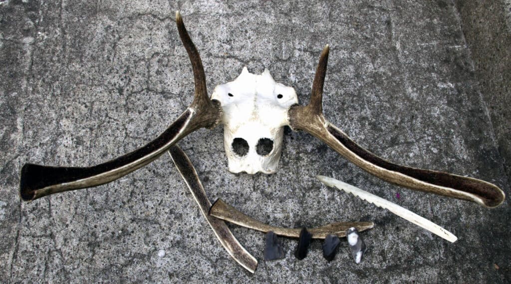 Mesolithic Antler Headdress and Antler Hunting Points.