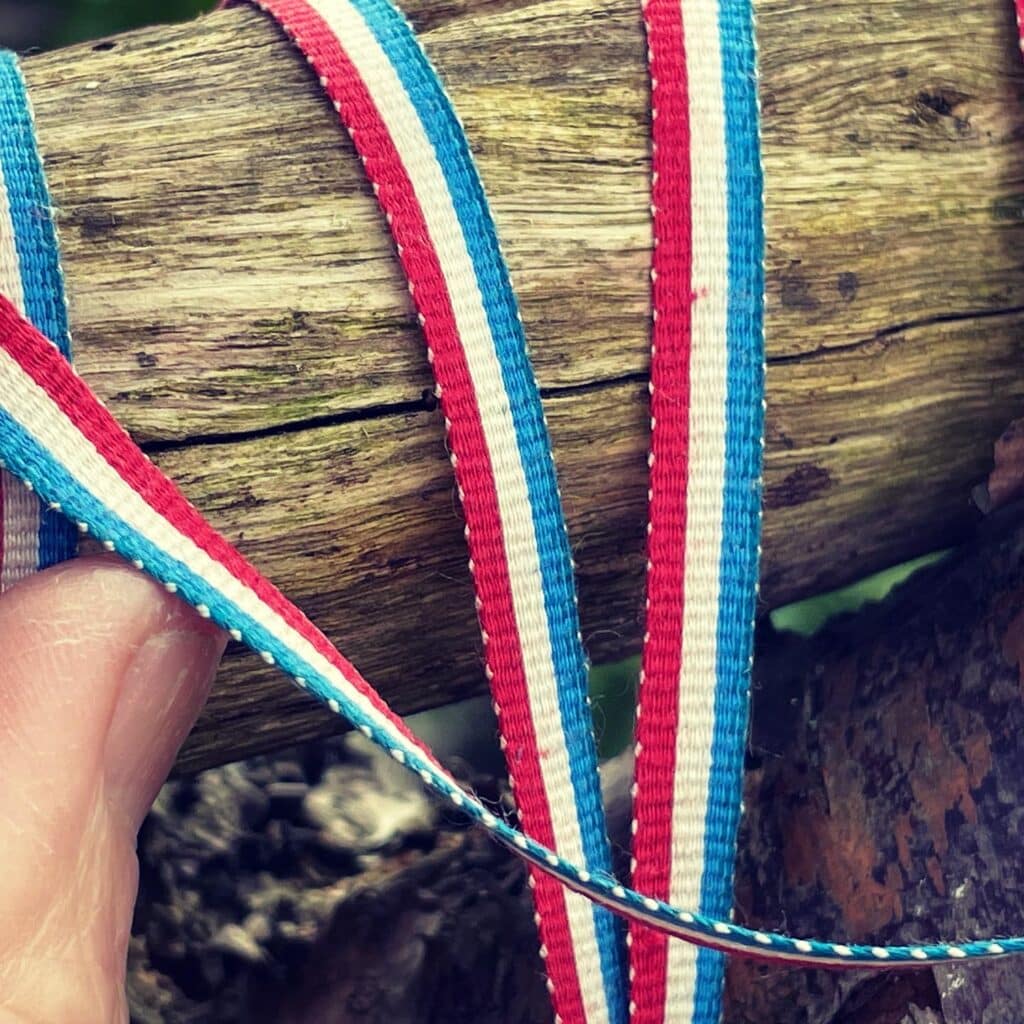 Silk ribbon (HeddleWoven, striped)