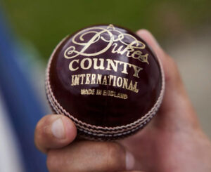 Dukes cricket ball