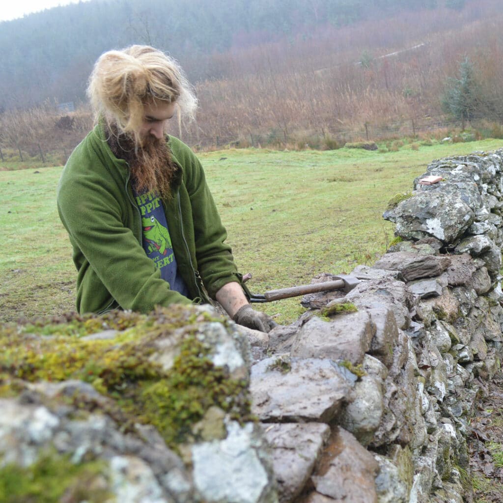 BARNEY MURRAY, DRYSTONE WALLER