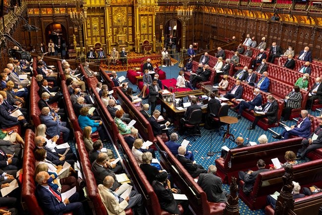 Heritage crafts in the Lords – October 2024