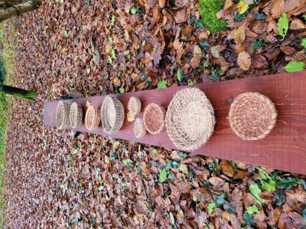 Wild Walks South West