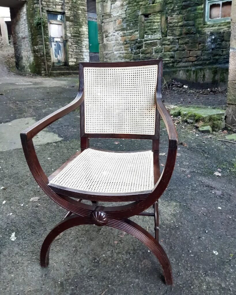 Fabulous X framed arm chair