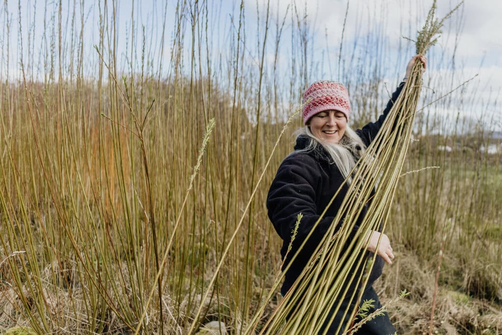 Grading homegrown willow