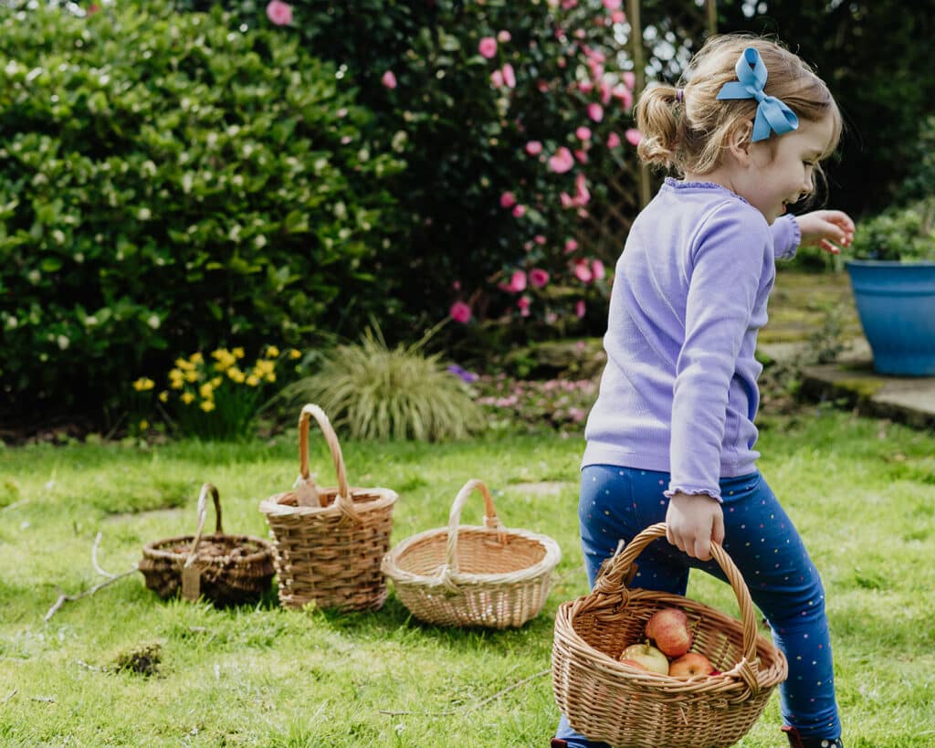 Selection of small baskets