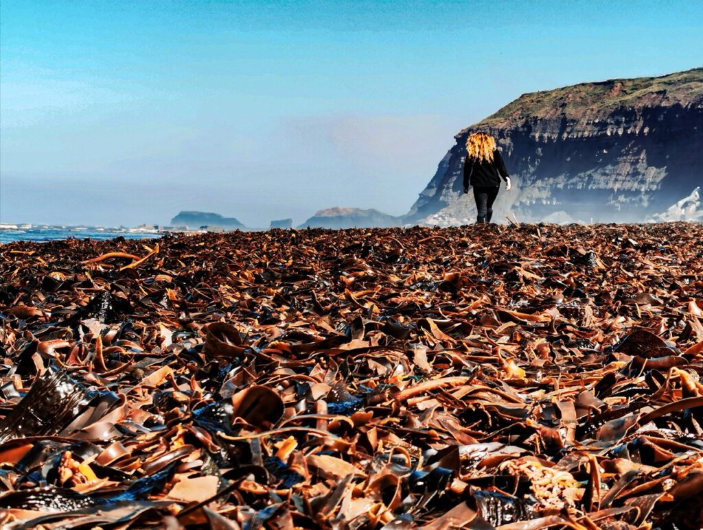 Collecting jet on the beach at Whitby