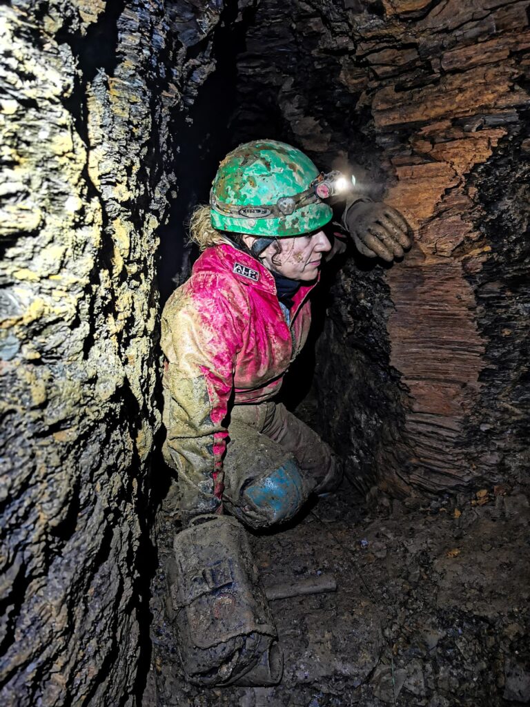 Geological research allows us to understand and protect Whitby jet