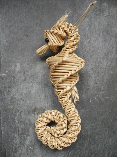 seahorse