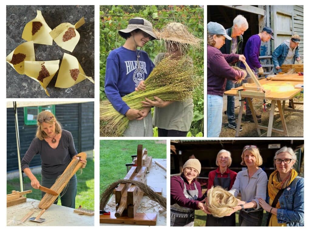 Let’s Grow Flax