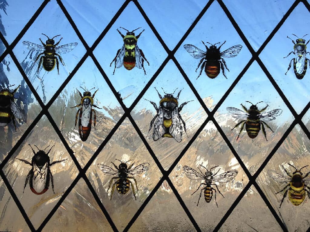 British Bees