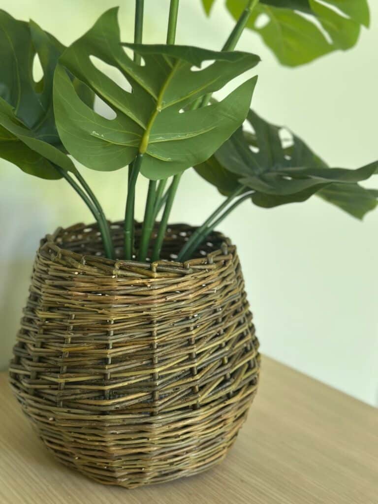Willow plant pot
