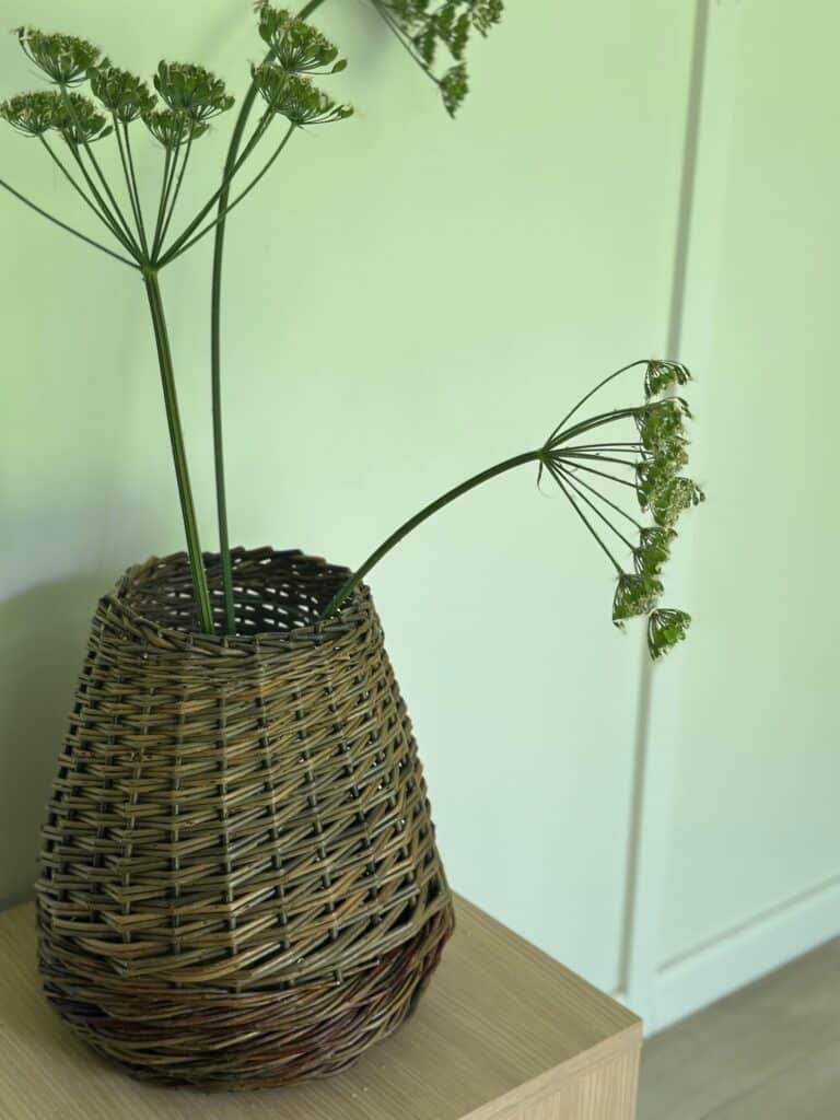 Willow vase