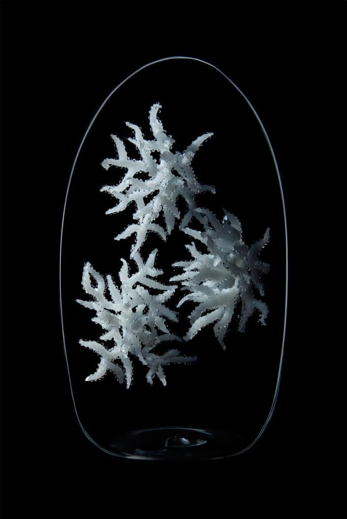 Invisible Reef