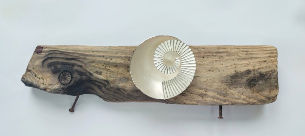 Sterling silver 75mm ammonite bowl on driftwood