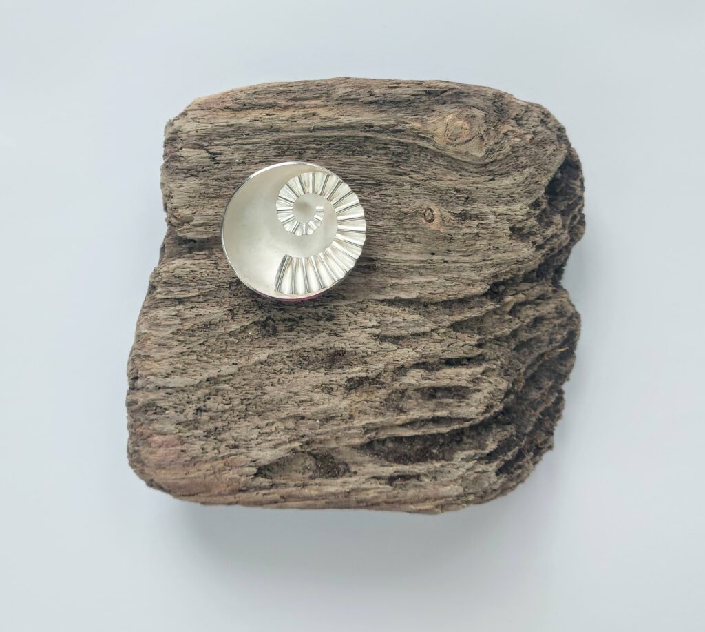 Sterling silver 45mm ammonite bowl on driftwood