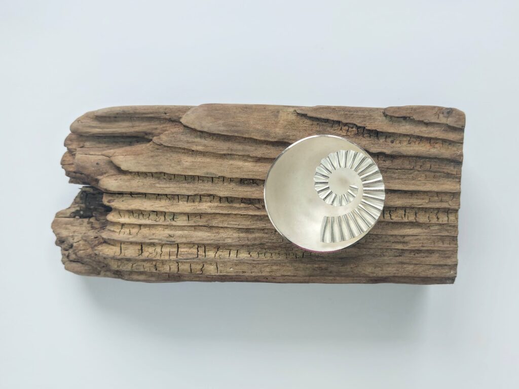 Sterling silver 50mm ammonite bowl on driftwood