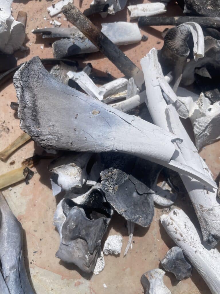 Calcined and charred bone