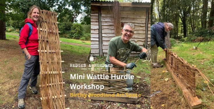 Mini Wattle Hurdle Workshop