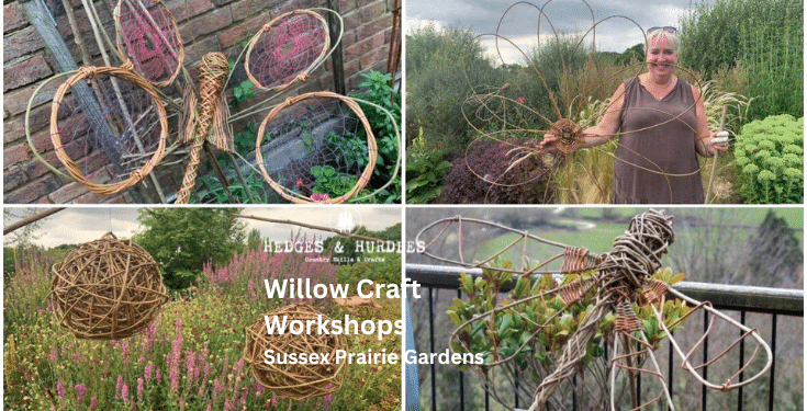 Willow Craft Workshop