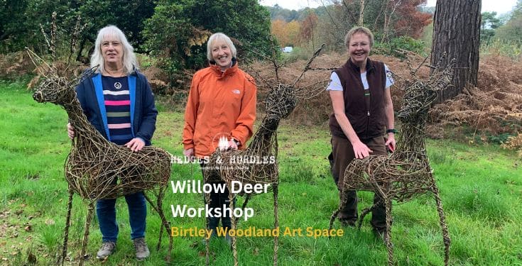 Willlow Deer Workshop