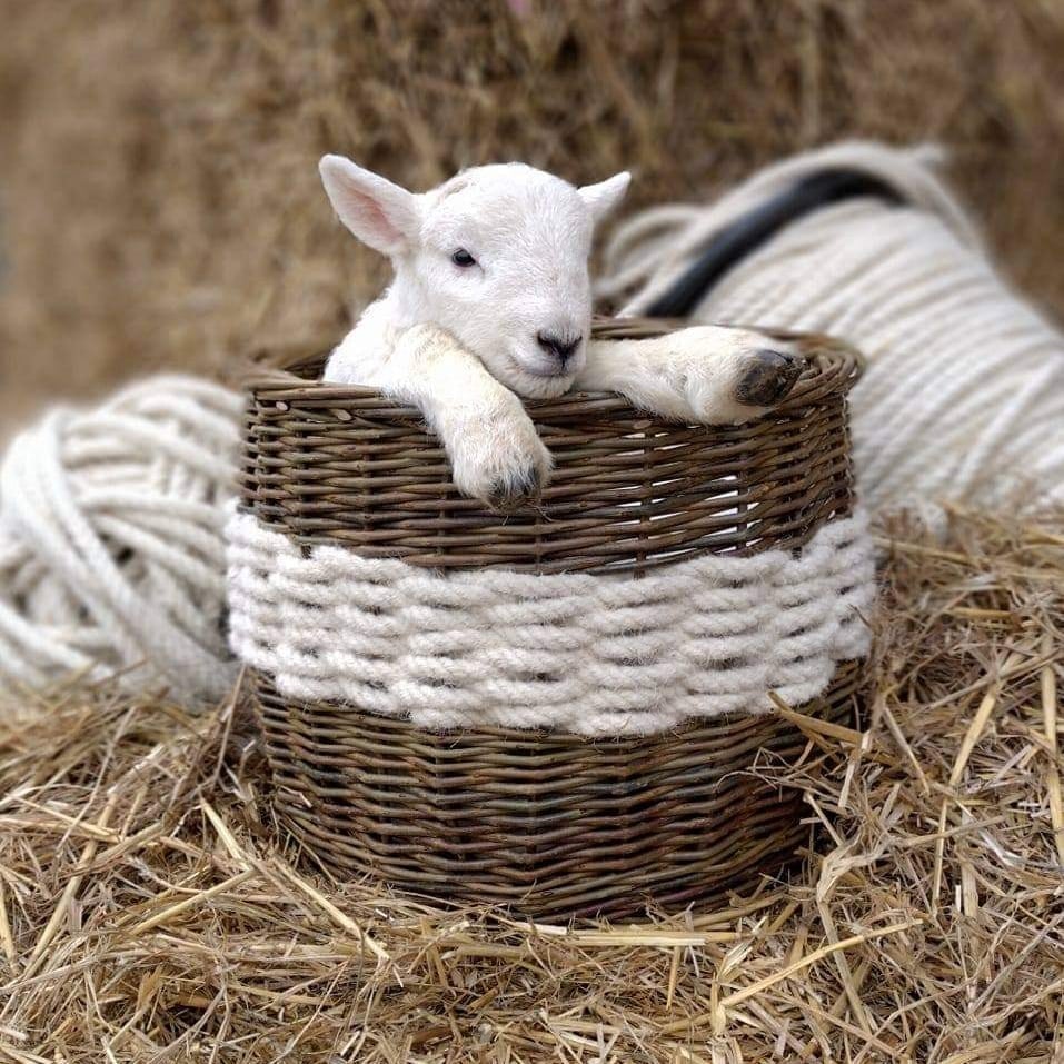 Welsh Mountain Wool & Willow Barrel Basket