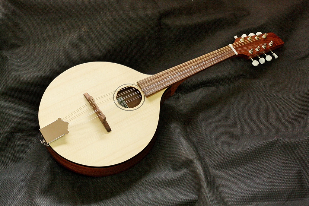 Acoustic folk mandolin