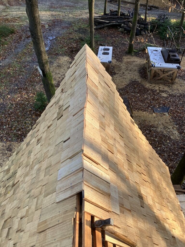 Sweet chestnut shingles