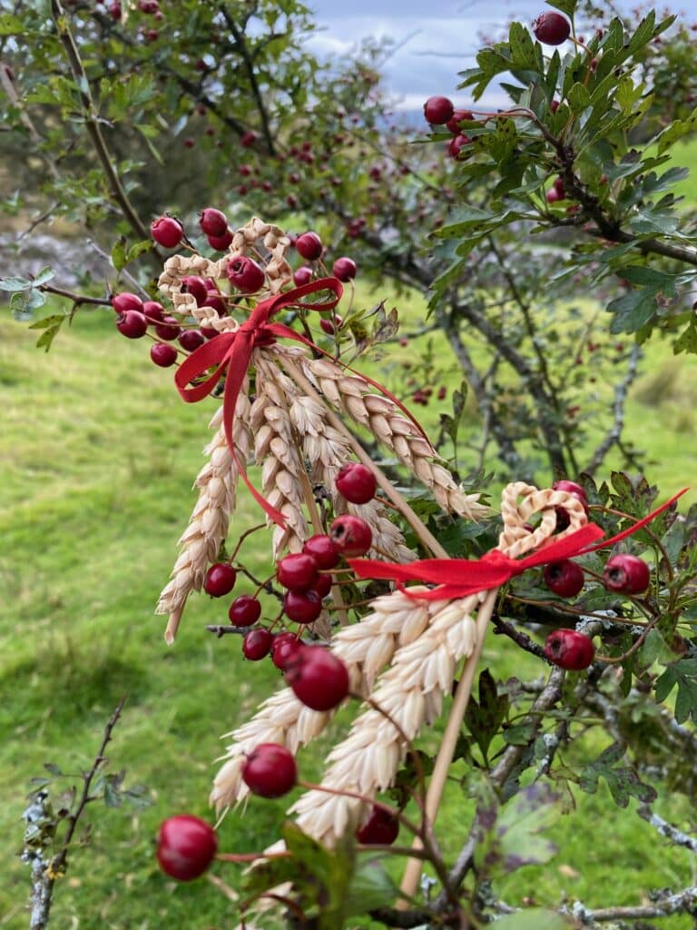 Harvest Tokens/ Tocynnau Cynhaeaf