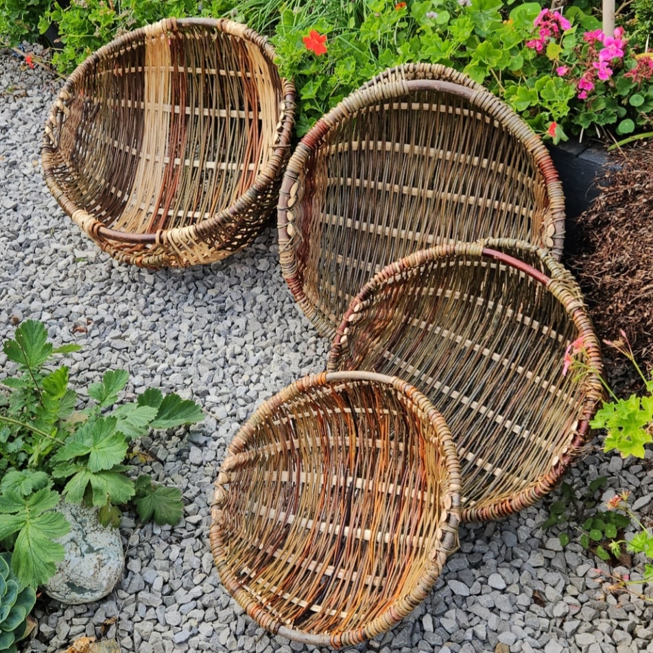 Welsh Cyntell Basket