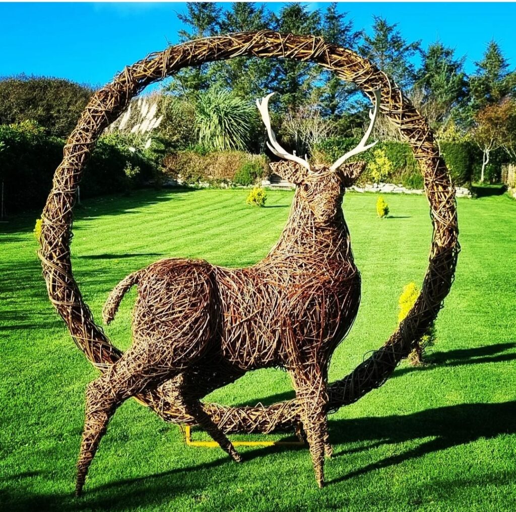 Willow Stag