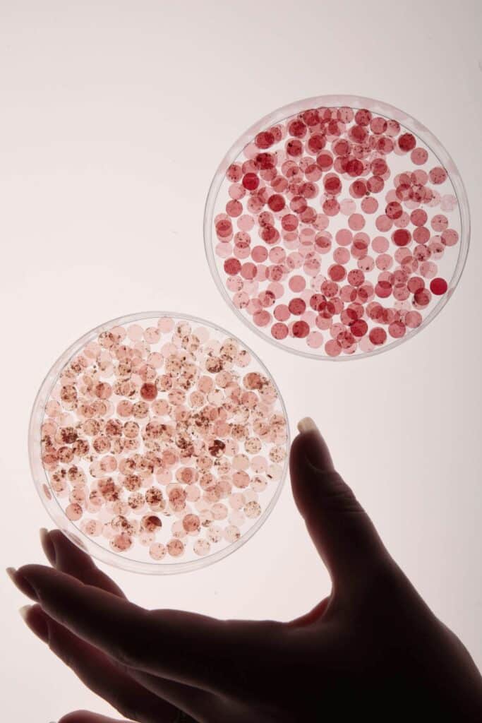 Biodegradable sequins