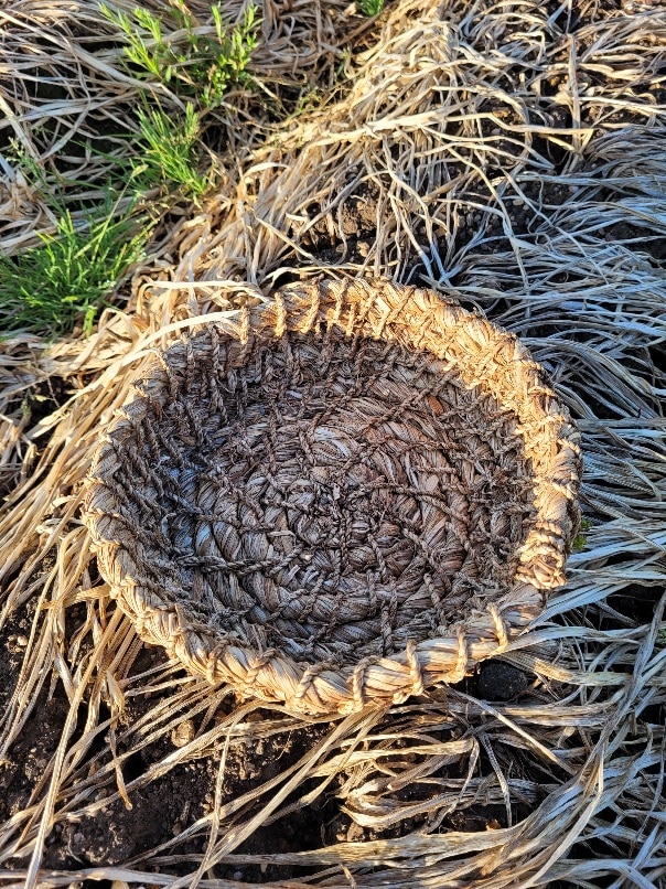 Bowl made from 100% daffodil stems discard in field