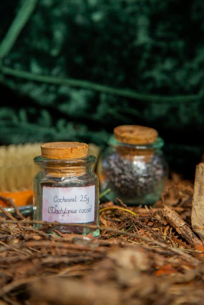 Natural Dyes – Cochineal