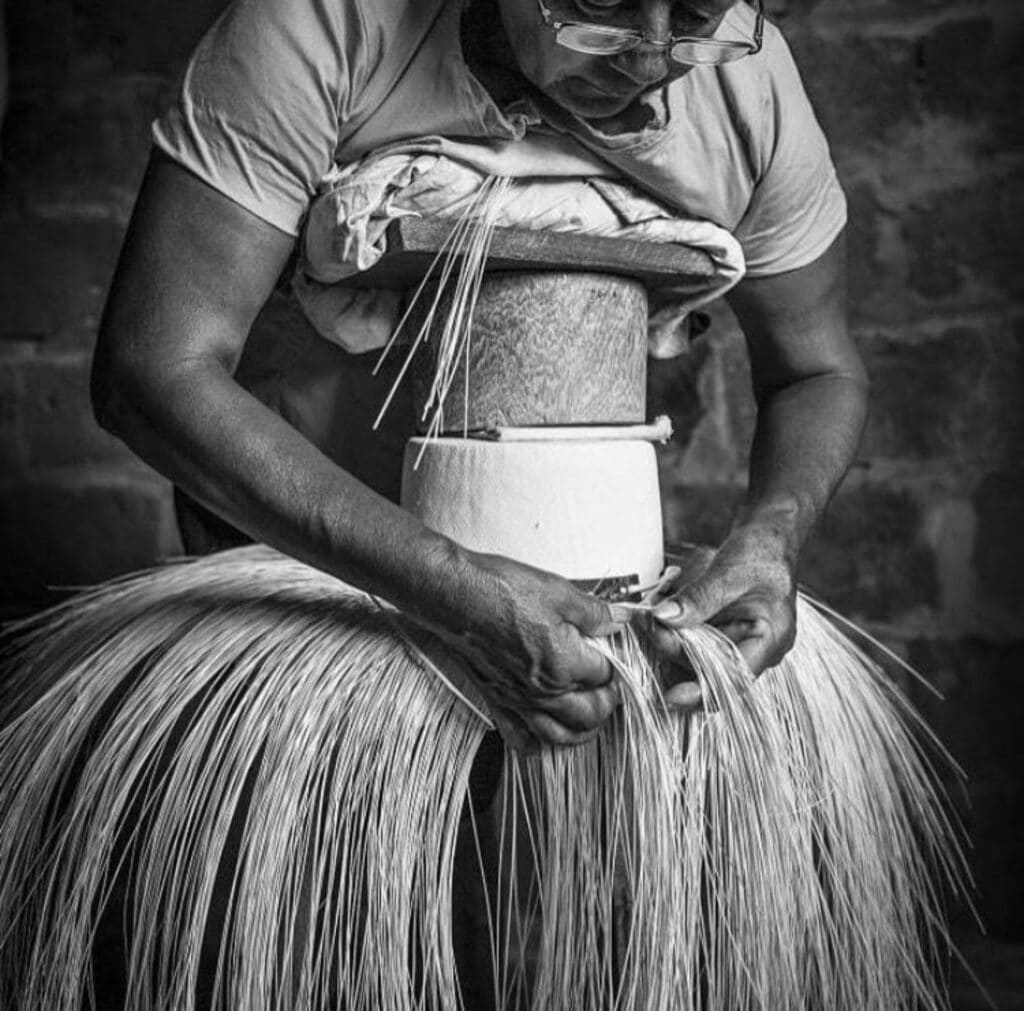 Panama Hat weaving in Montecristi Ecuador