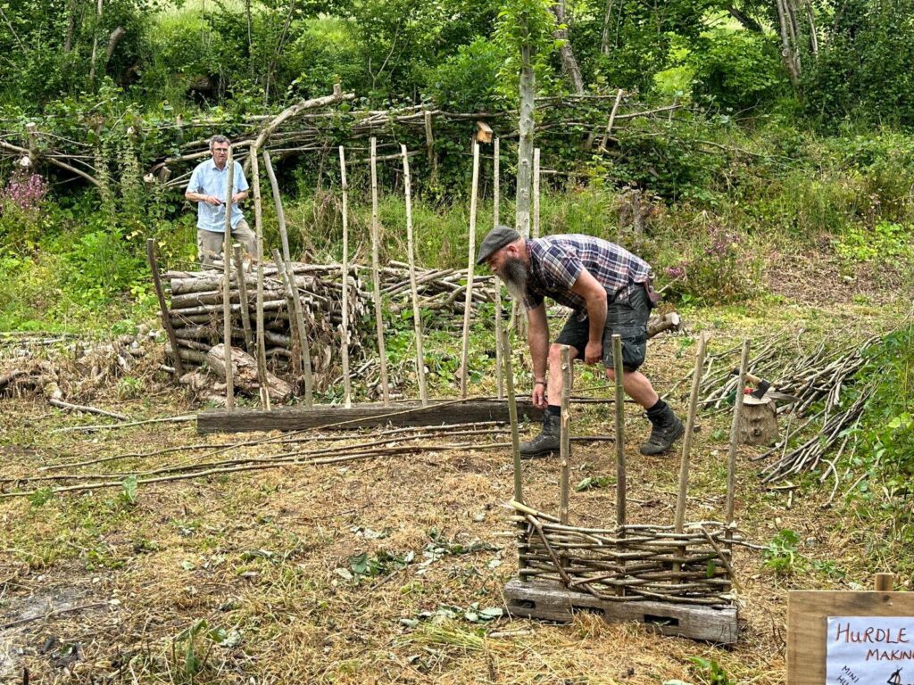 Me running a hazel hurdling demo at 100 Acer Conservation Project Open Day