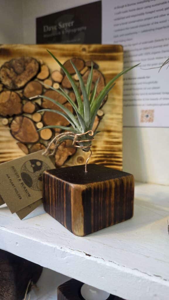 Air plant Holder made from a fence post with light yakisugi treatment and 99% copper plant port.