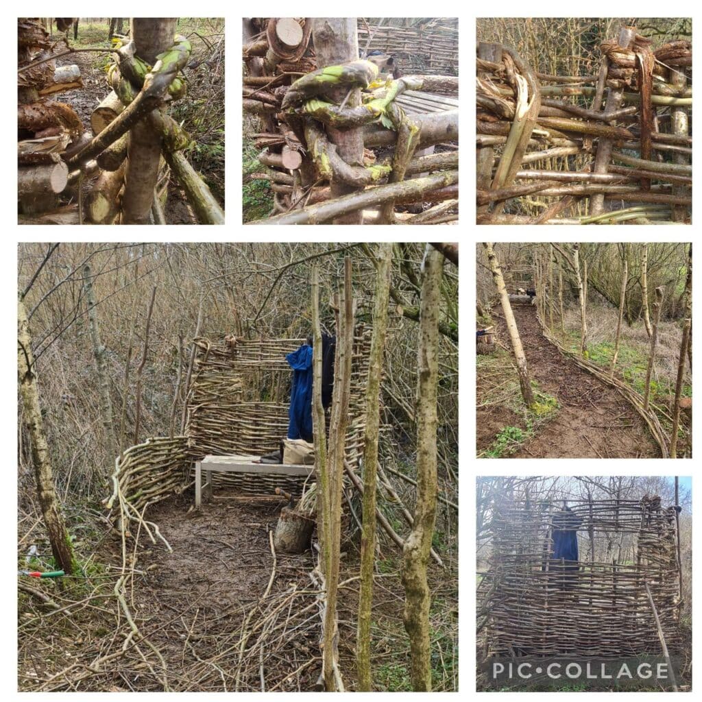 A hazel hurdle bird hide I built in a wet woodland in the cotswolds