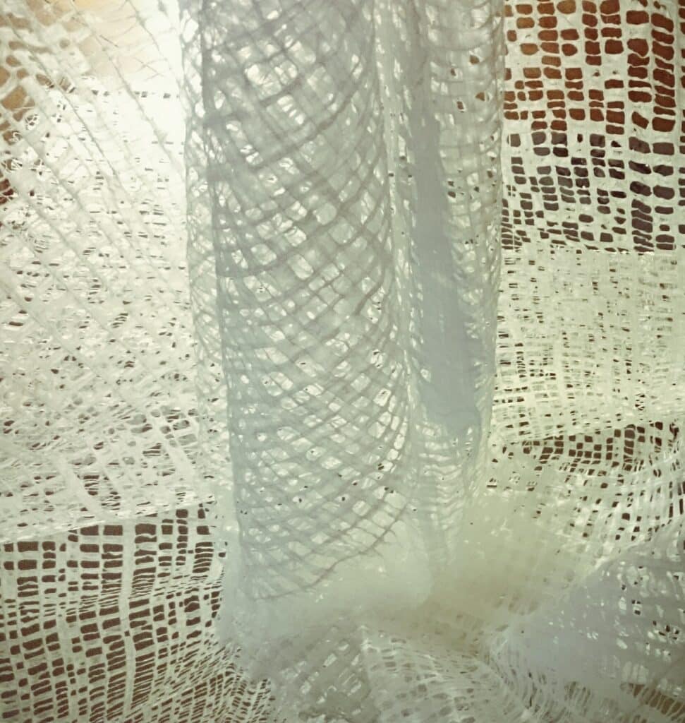 Praise of shadows detail
