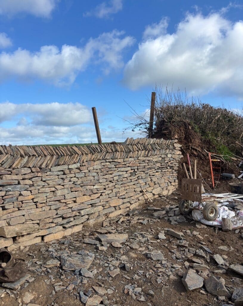 Farm hedge with local slate, herring bone top. Tresillian, Cornwall