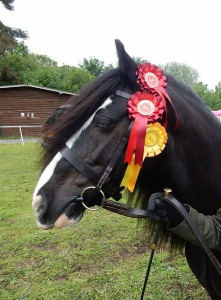 Handmade Bridle