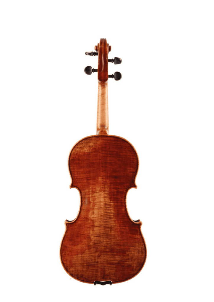 Violin Back Medici – Available