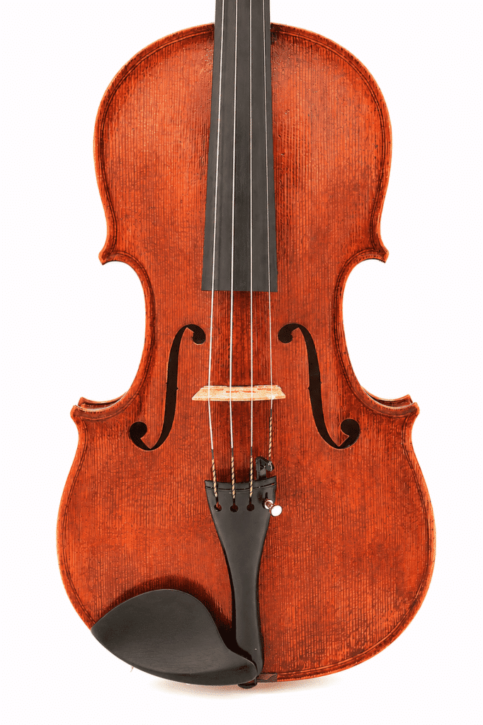 Viola Archinto – Available