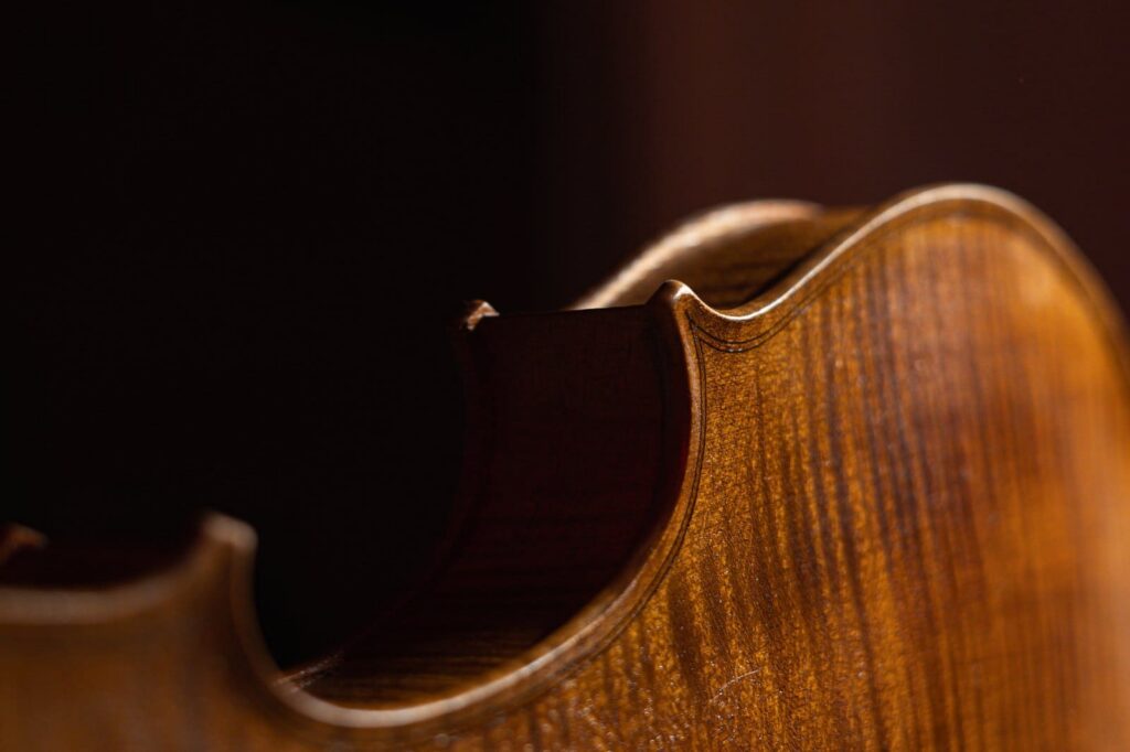 Varnish Detail